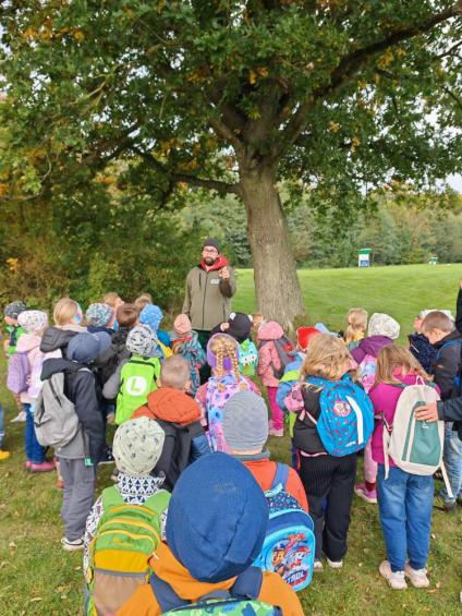 Gruenes-Klassenzimmer Pilze-8