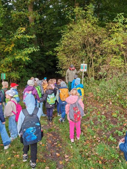 Gruenes-Klassenzimmer Pilze-9